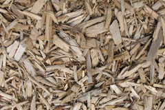 biomass boilers Bowlish