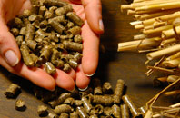 free Bowlish biomass boiler quotes