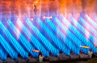 Bowlish gas fired boilers